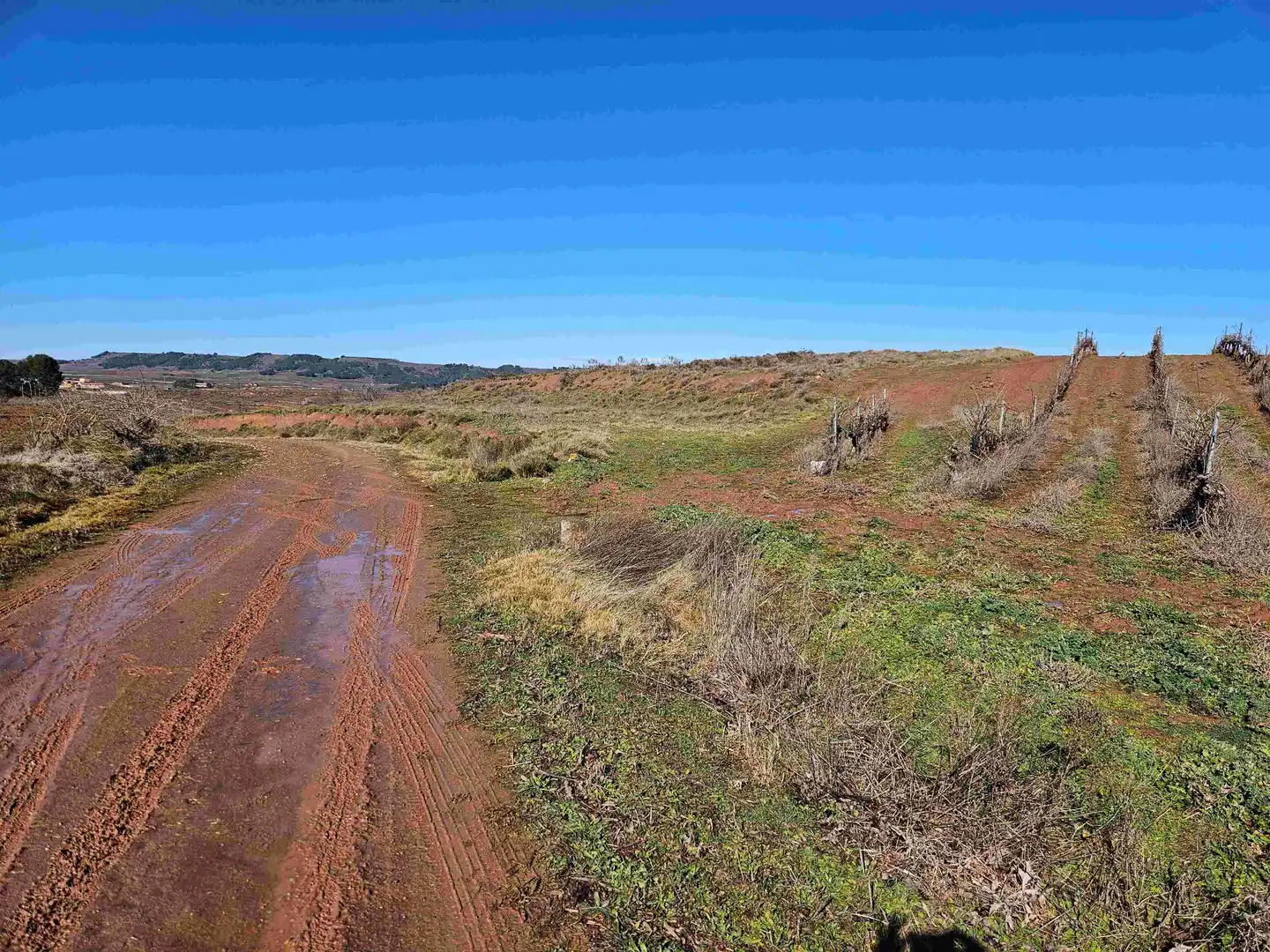 Terrenys i solars en venda a Polígono 509 Parcela 1039, imagen 6