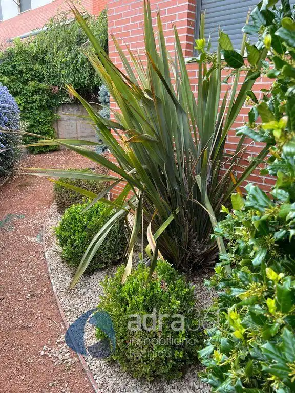 Jardí de Casa o xalet en venda en Cirueña amb Calefacció, Jardí privat i Terrassa