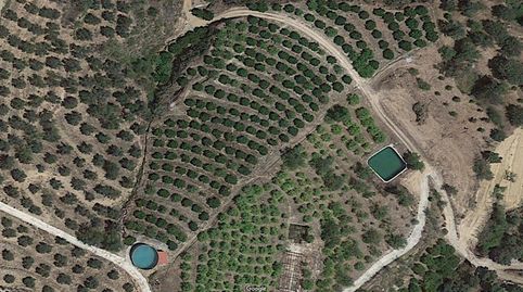 Finca Rúst. en venta en El Valle., immagine 3