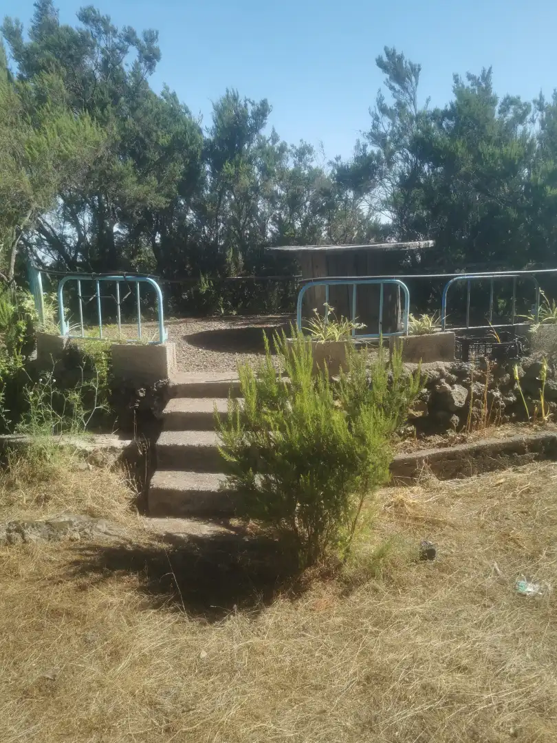 Garten von Grundstücke zum Verkauf in El Tanque, Santa Cruz de Tenerife