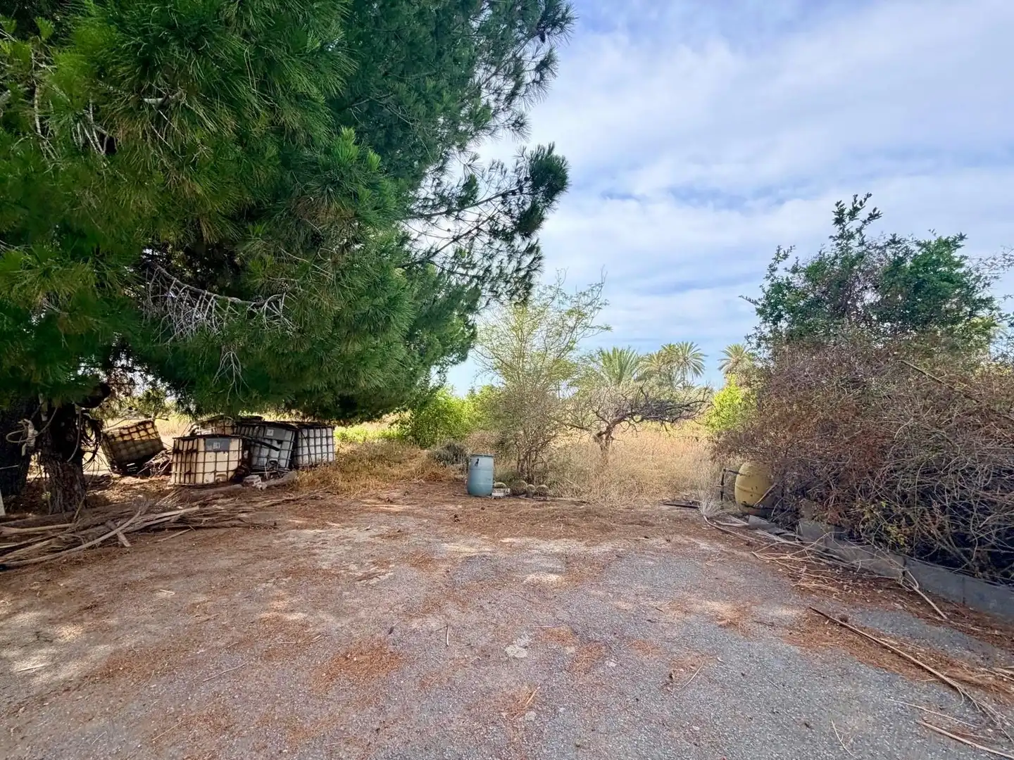 Houses for sale in Elche / Elx