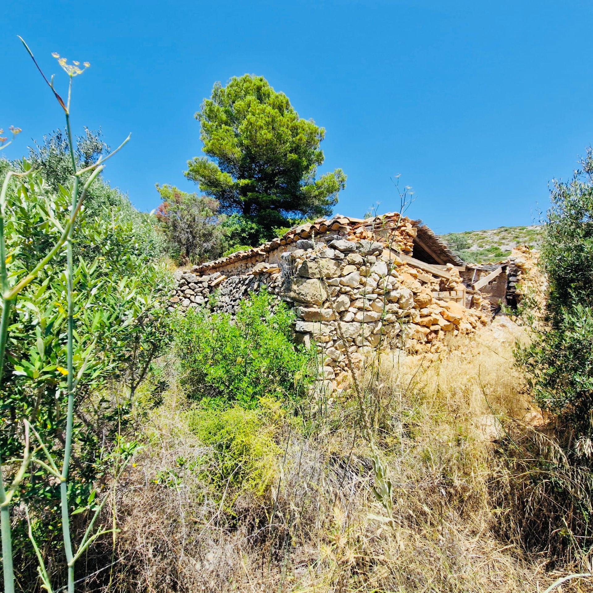 Casa o xalet en venda en Moraira amb Jardí privat