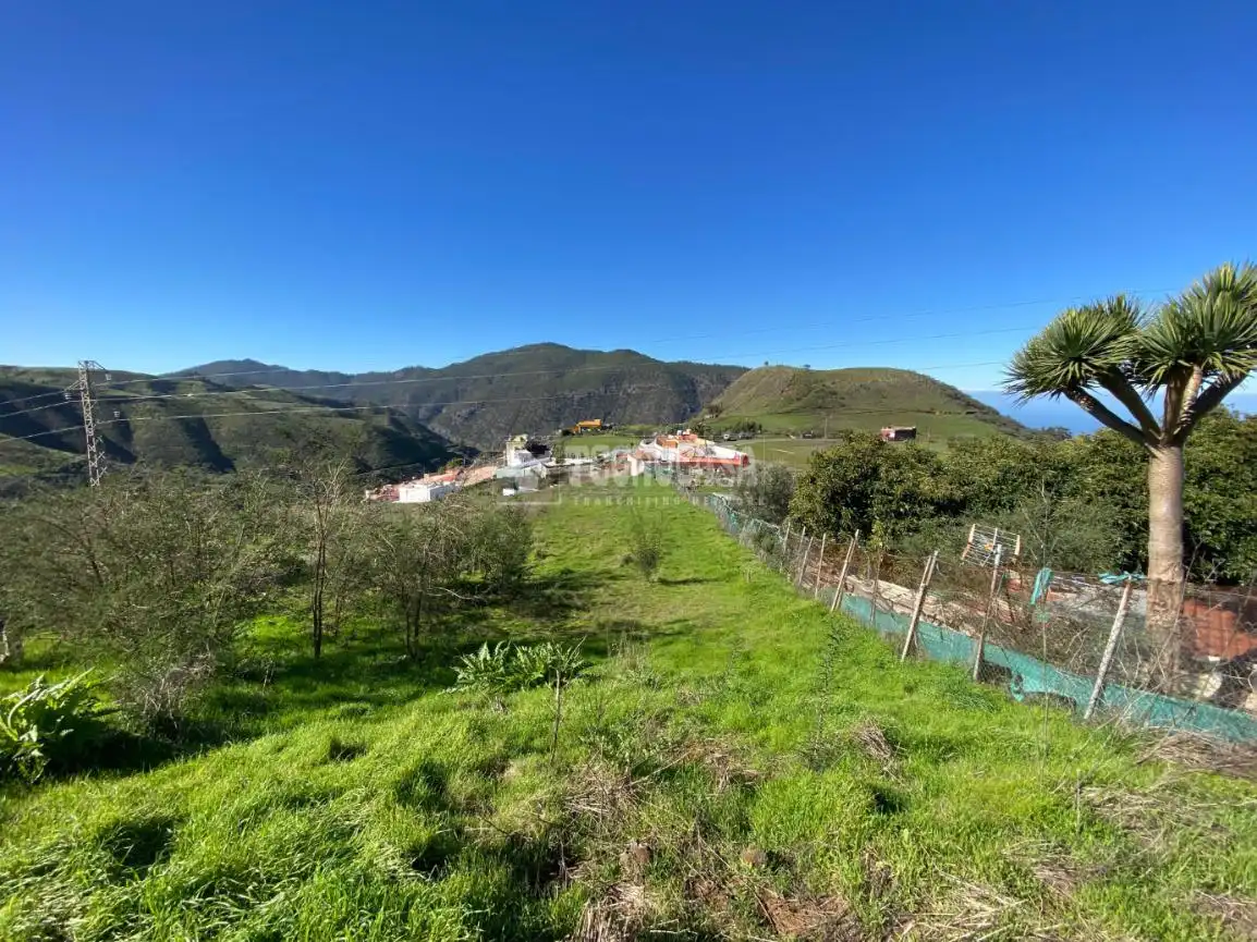 Terreny rústic en venda a Camino del Palo, imagen 14