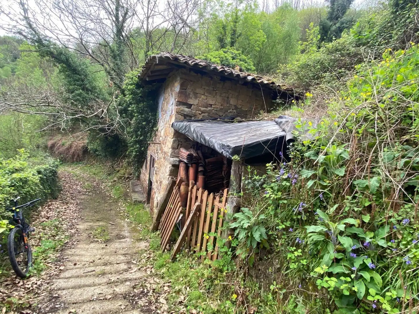 Maison rustique à vendre à SARABIA, imagen 6