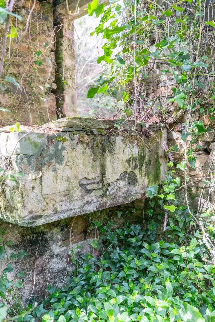 Jardí de Casa o xalet en venda en Castropol