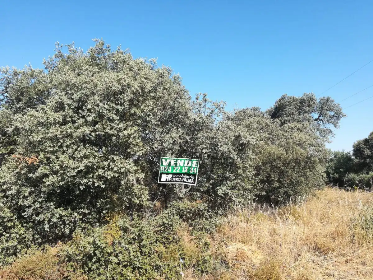 Terreni e lotti in vendita a Carretera de Sevilla - Los Montitos, imagen 5