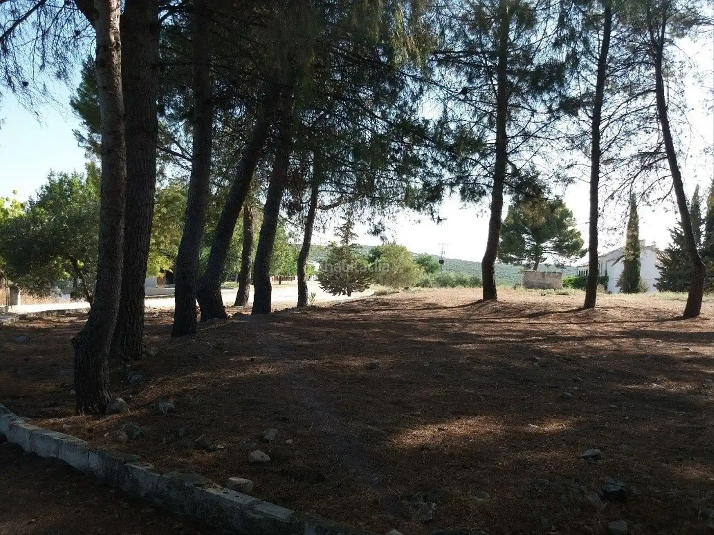 Terreni e lotti in vendita a Avenida Aceituneros 7, imagen 2