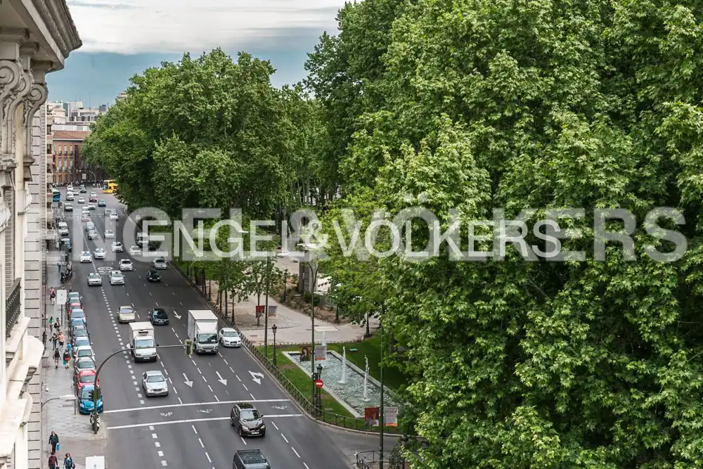 Individual for sale in Centro, imagen 7