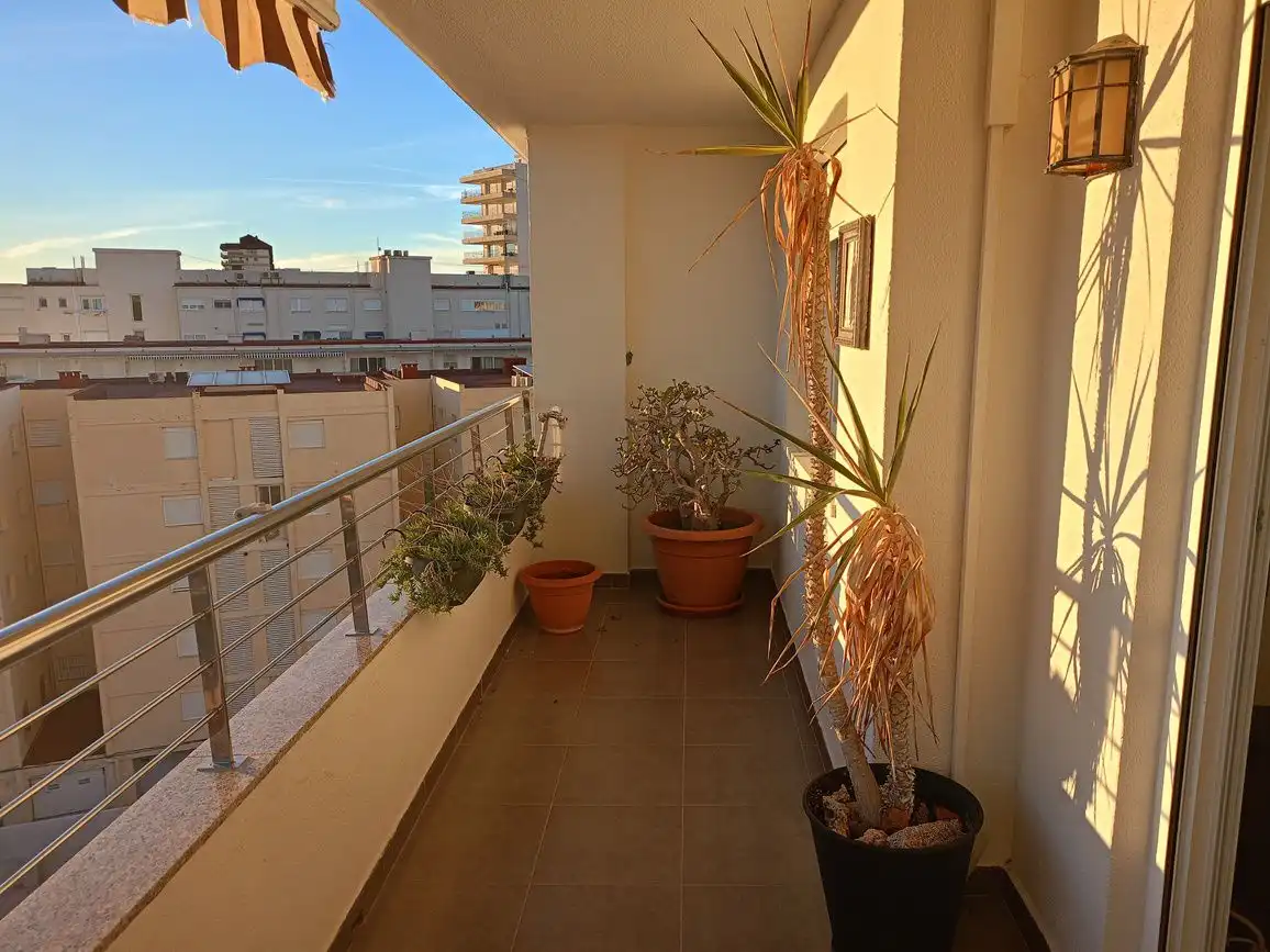 Apartament amb piscina de lloguer a Playa de Gandia, imagen 3