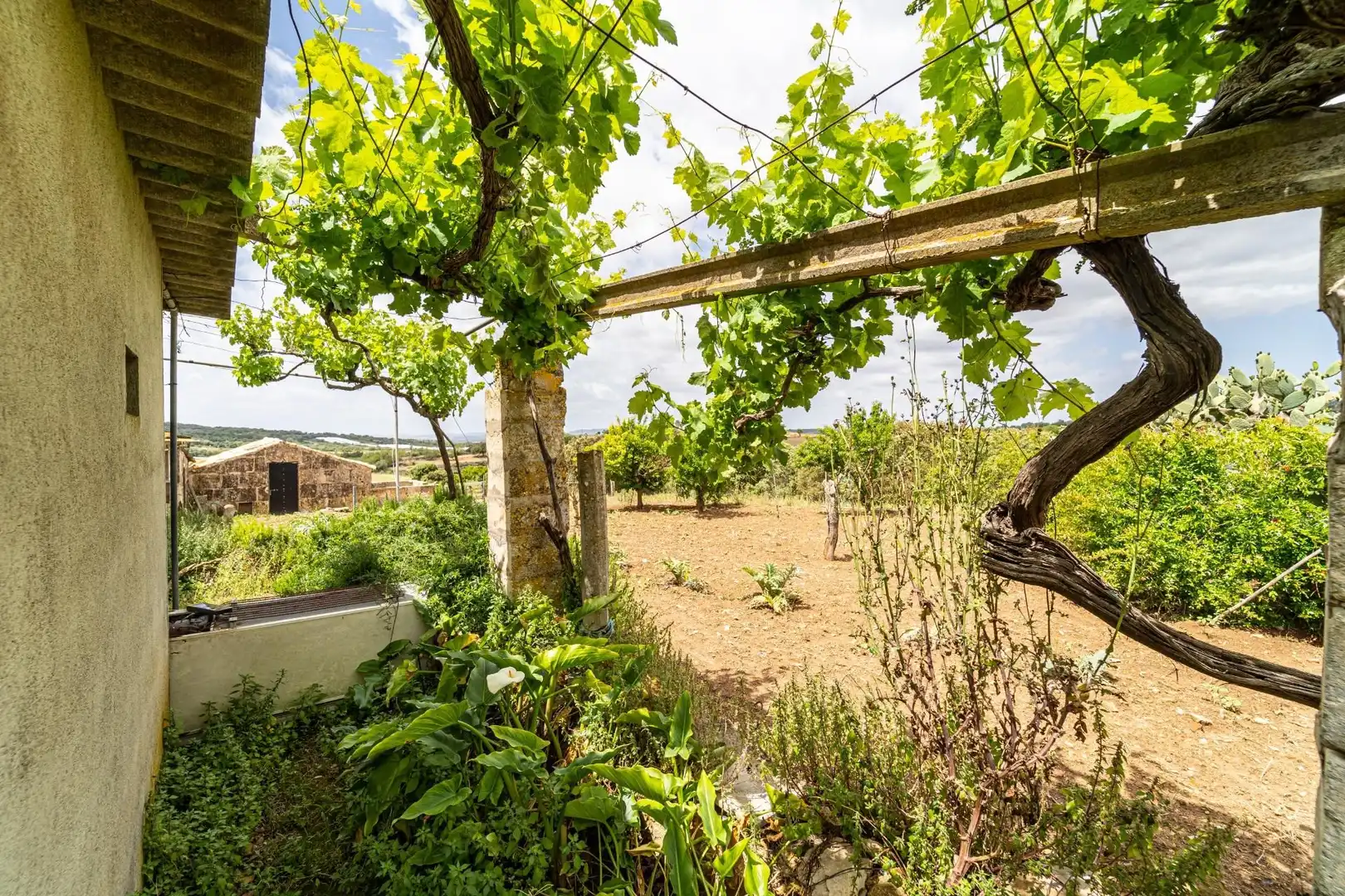 Casa rústica en venta en Manacor Centre, imagen 20