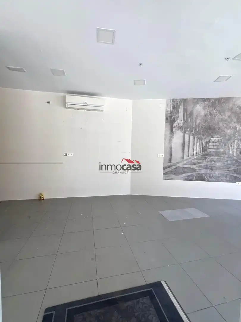 Commercial properties for rent in Avenida DON BOSCO, Barrio de Zaidín