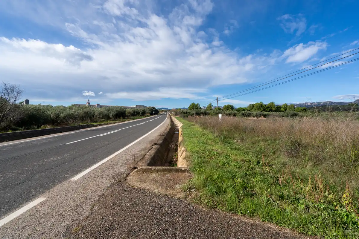 Rural land for sale in La Sénia, imagen 5