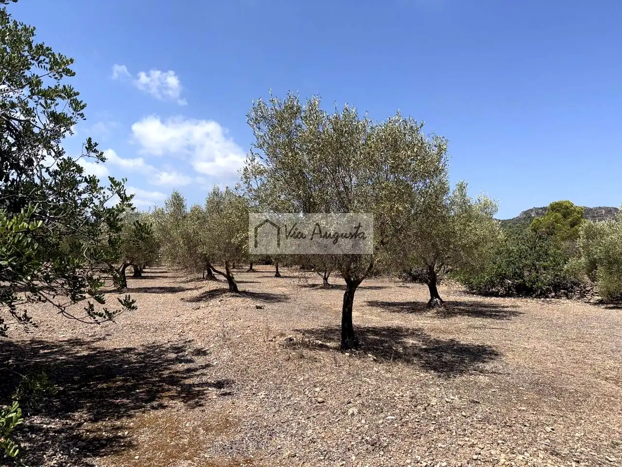 Terrain rustique à vendre à Espinal, imagen 17