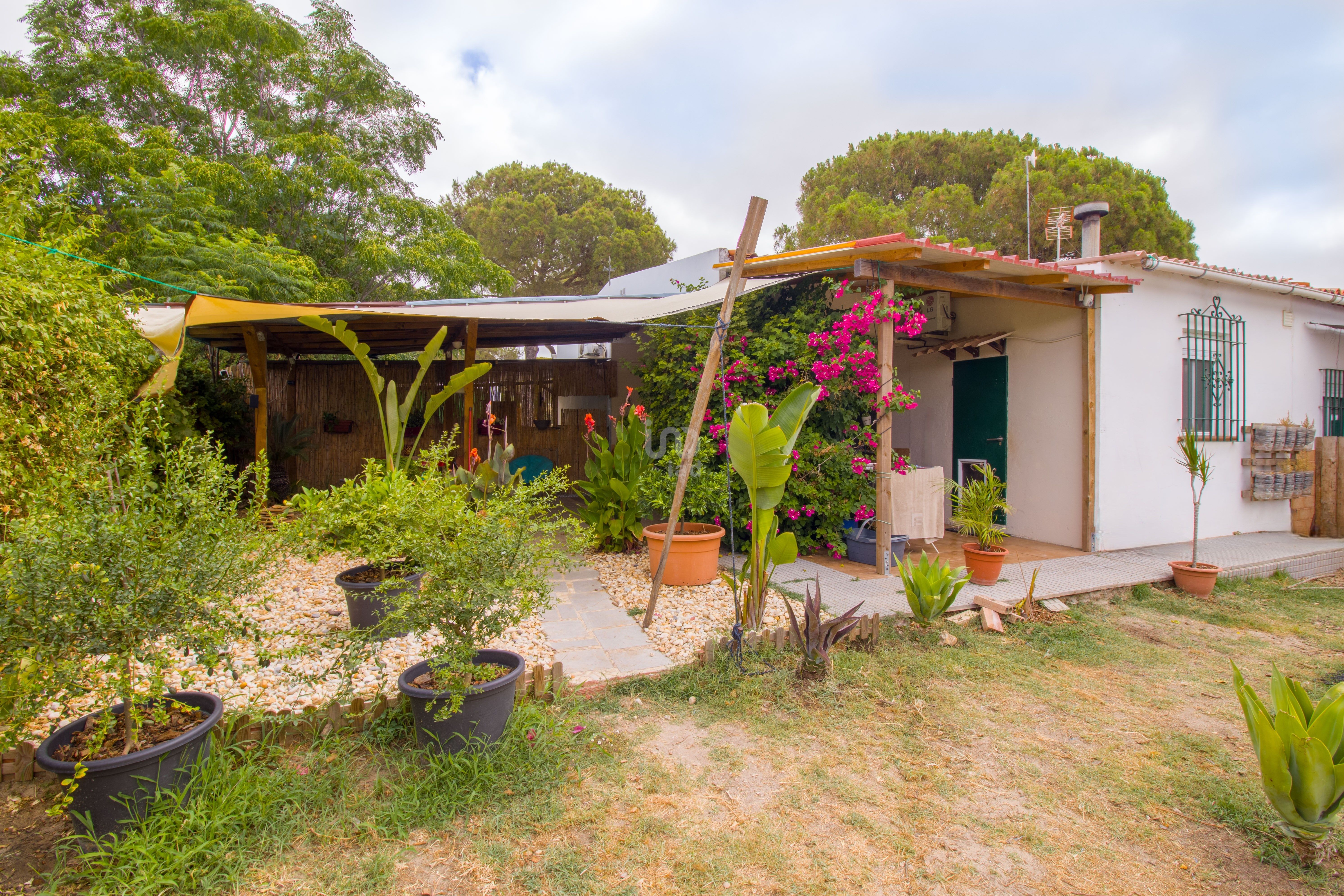 Garden of House or chalet for sale in Bonares  with Air Conditioner, Heating and Terrace