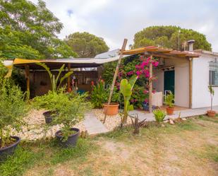 Jardí de Casa o xalet en venda en Bonares amb Aire condicionat, Calefacció i Terrassa