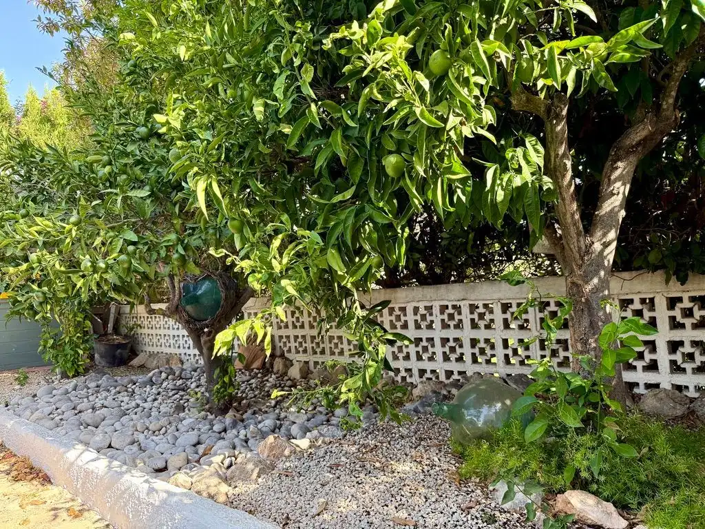 Jardín de Casa o chalet en venta en Jávea / Xàbia con Aire acondicionado, Calefacción y Jardín privado
