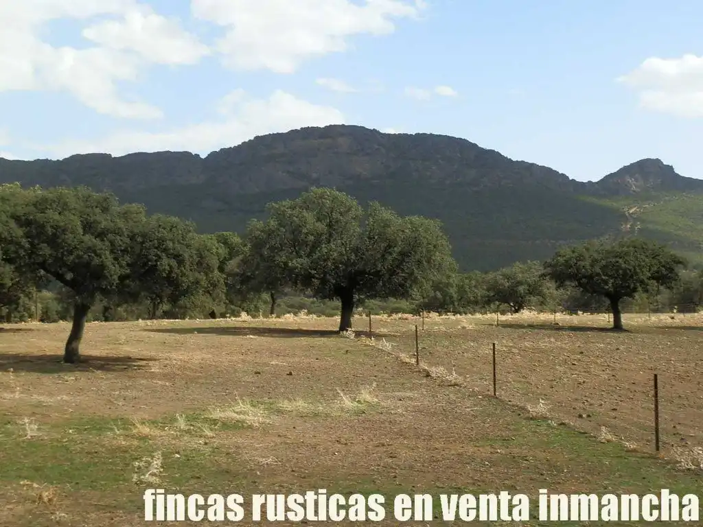 Terreni e lotti in vendita a Peñalsordo, imagen 27