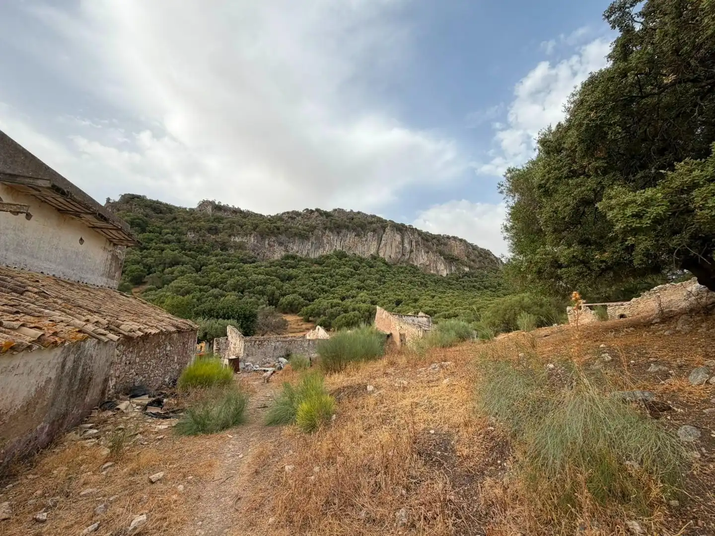Rural land for sale in Morón de la Frontera, imagen 19