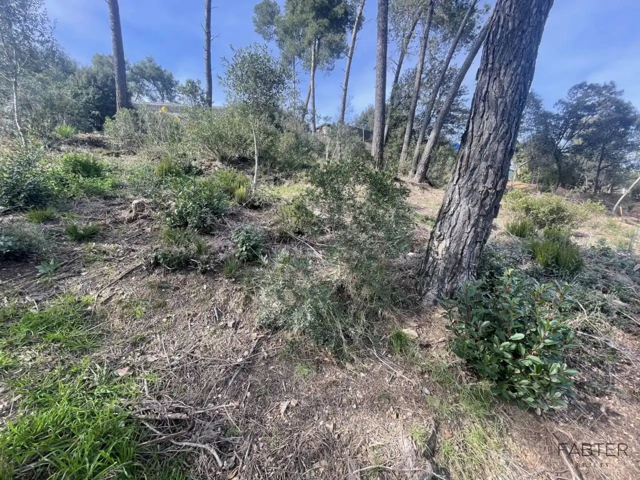 Rural land for sale in Avenida Modolell, imagen 11