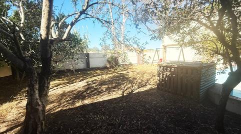 Foto 4 de Casa o xalet en venda a Pelagatos - Pago del Humo, Cádiz