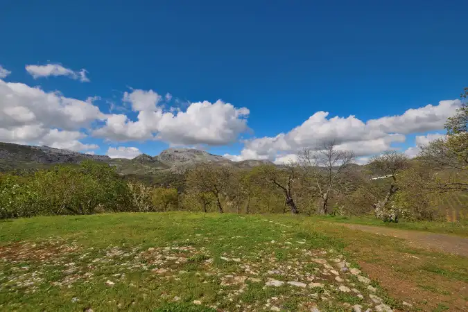 Country house zum Verkauf in Ronda mit Privatgarten