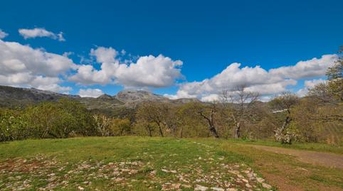 Photo 4 of Country house for sale in San Cristóbal, Málaga