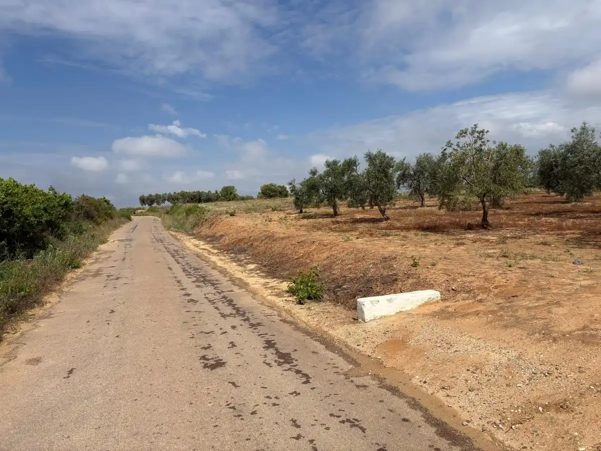 Terreno rustico in vendita a Almonte ciudad, imagen 10