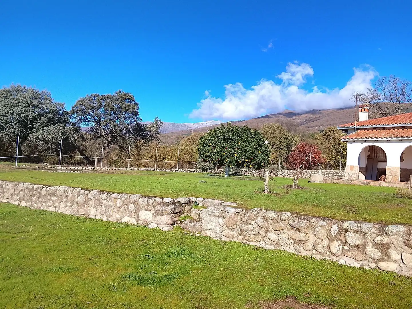 Jardín de Terreno en venta en Candeleda