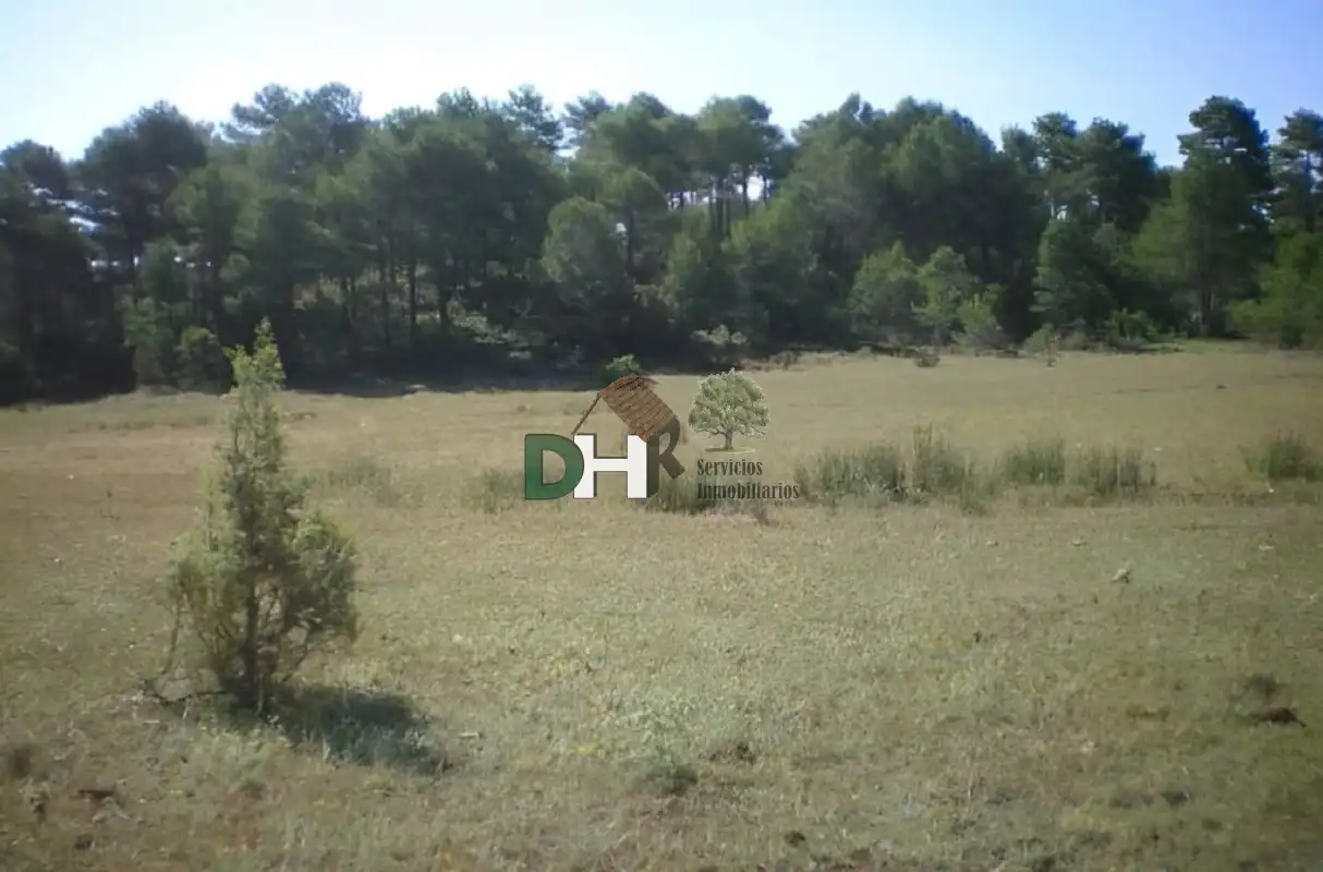 Terreni e lotti in vendita a San Fernando - Carretera de Valencia, imagen 3