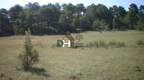CuencaTerreno, imagen 3