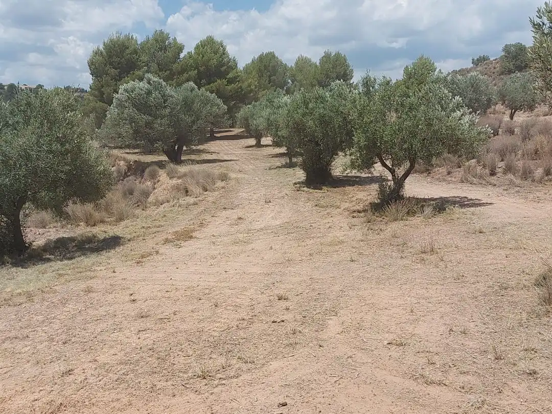 Rustikales Grundstück zum Verkauf in Diseminado P003 357, imagen 18