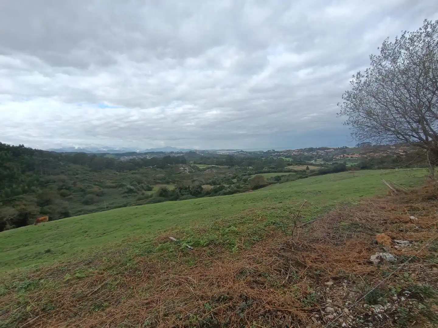 Terreny rústic en venda a Ruiloba