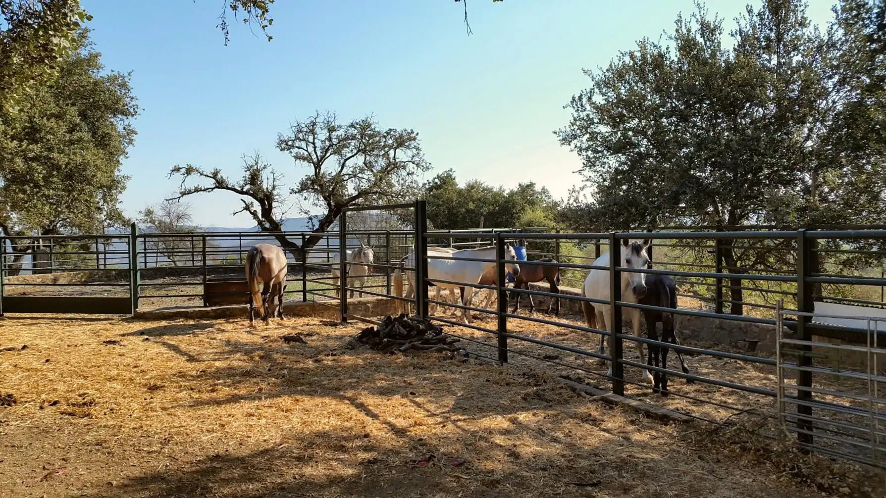 Terrenos y solares en venta en Extramuros Diseminados 5, imagen 40