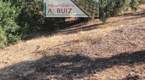 Imagen 4 del anuncio