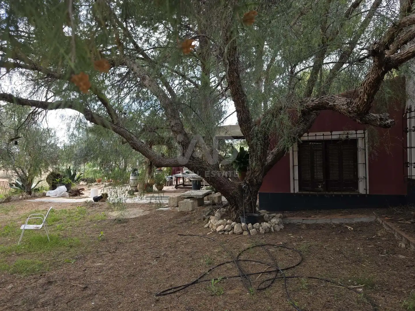 Casa con piscina en venta en Jumilla, imagen 22
