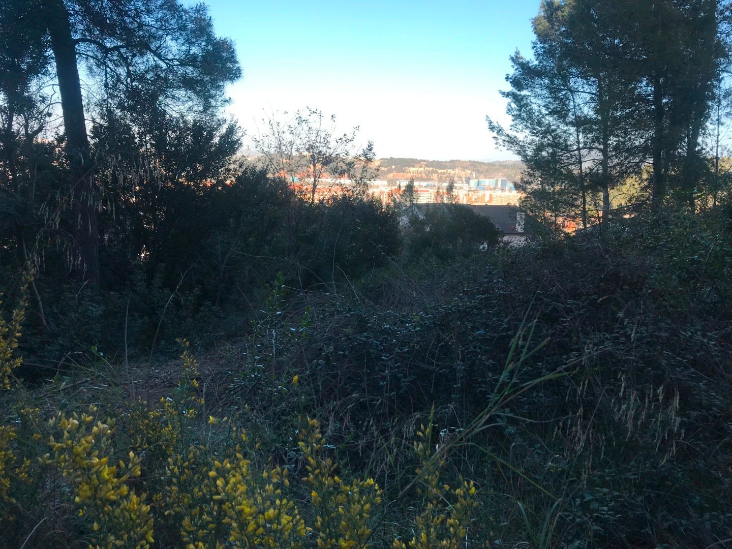 Residential for sale in Sant Andreu de la Barca