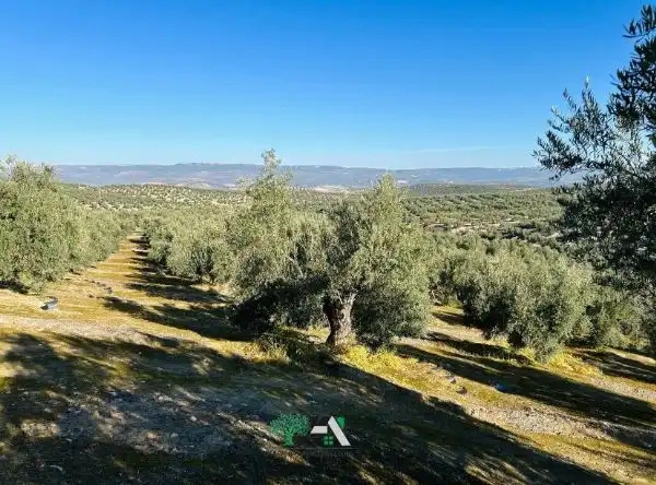Terrenos y solares en venta en Úbeda, imagen 3