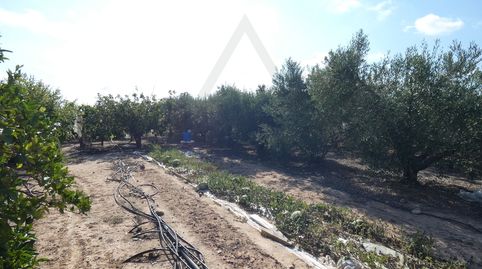 Foto 5 von Grundstücke zum Verkauf in Lugar Los Perez, 10, Torre-Pacheco ciudad, Torre-Pacheco