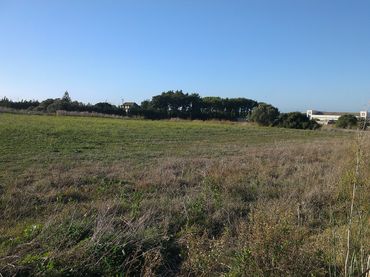 Terreno rustico in vendita a Caballero Bonald - San José Obrero - Guadalcacín