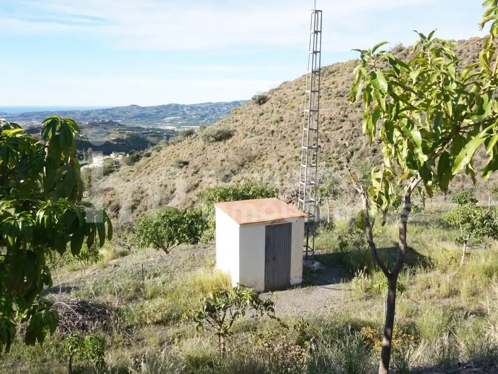 Casa o chalet en venta en Urbanizacion Eucaliptos Los, Centro Histórico