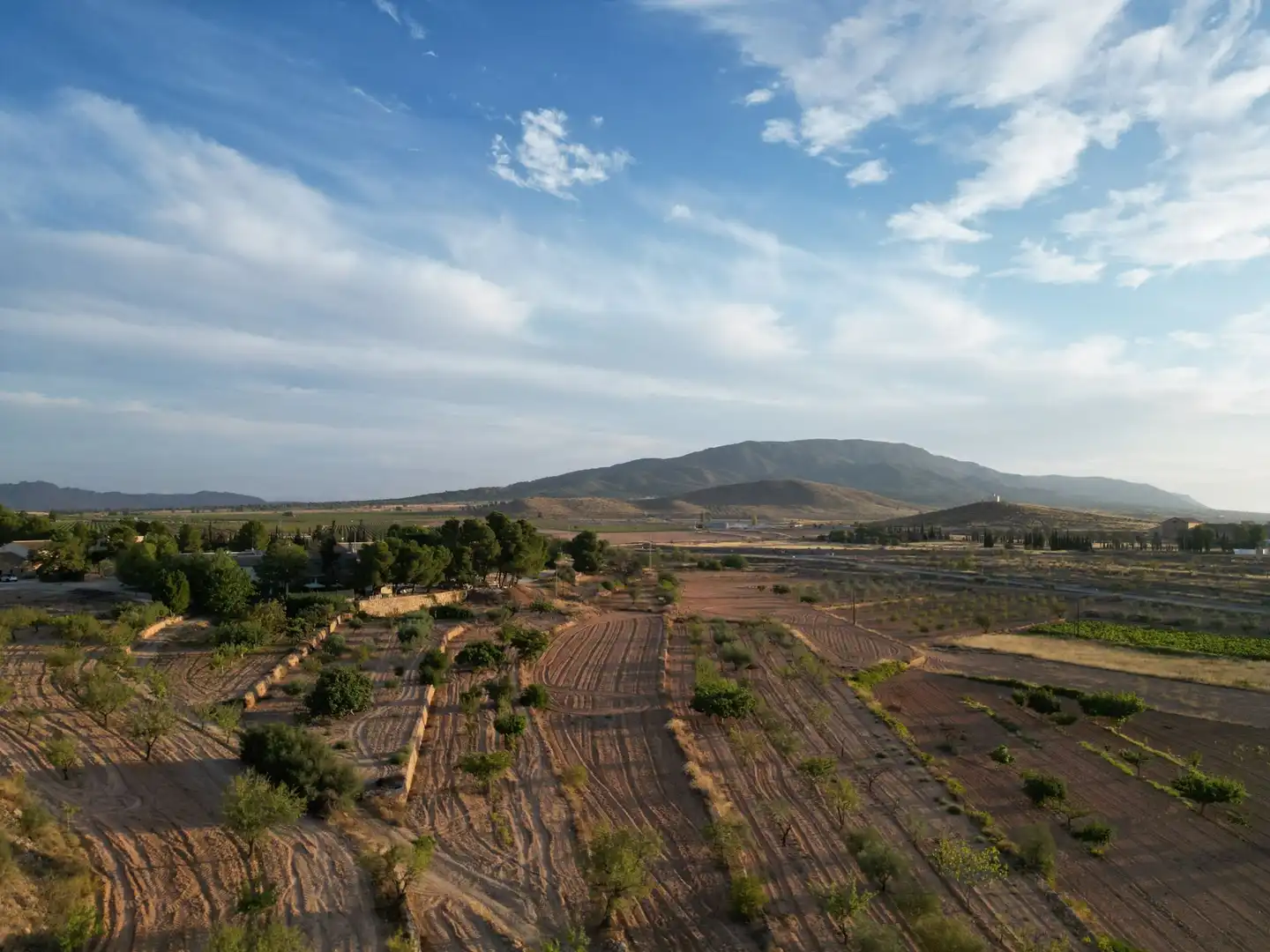Terreno residencial en venta en El Pinós / Pinoso