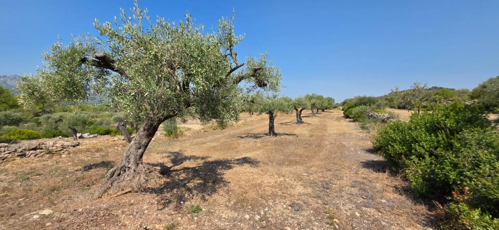 Casa rústica con piscina en venta en Tivissa, imagen 84