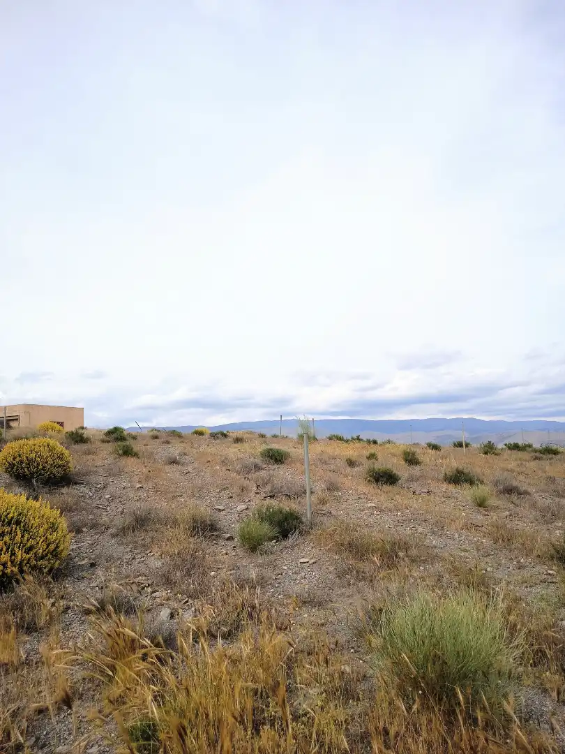 Terreno rustico in vendita a Alboloduy, imagen 13