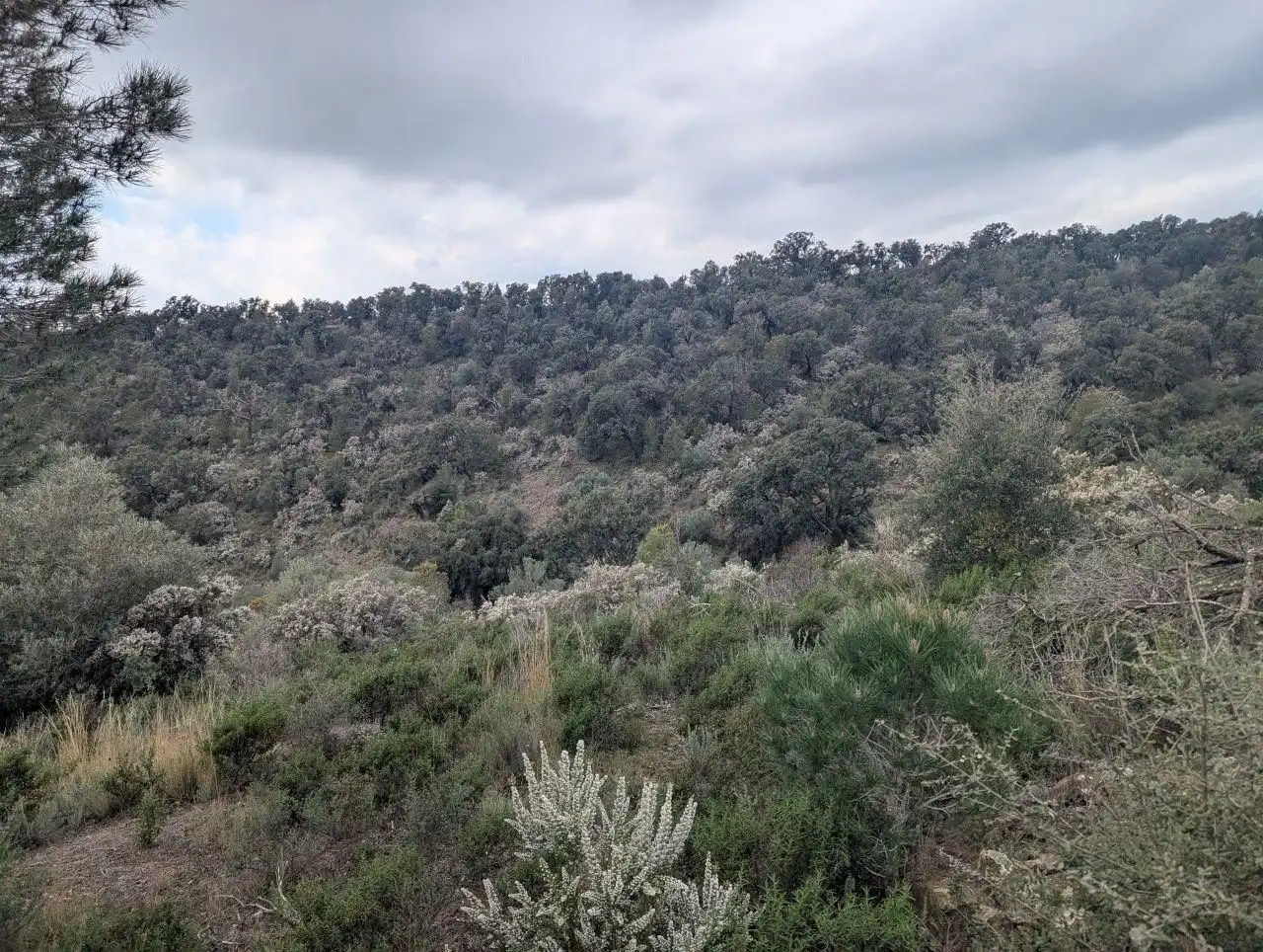 Residencial en venta en Pedret i Marzà