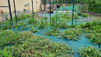 Garden of House or chalet for sale in Ourense Capital   with Heating and Private garden