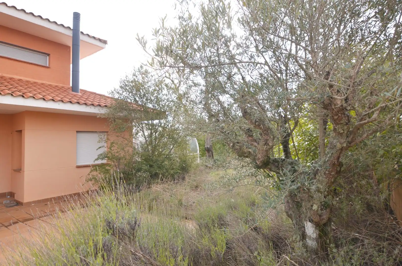 Casa adosada en venda en Carrascal de Barregas amb Piscina