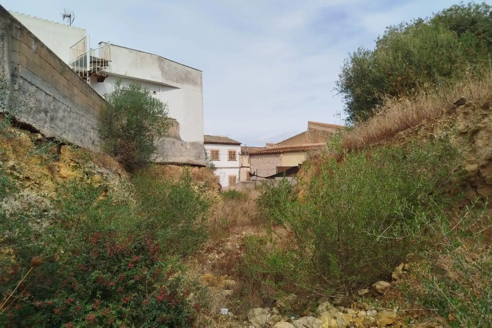 Terrenos y solares en venta en Maria de la Salut, imagen 13