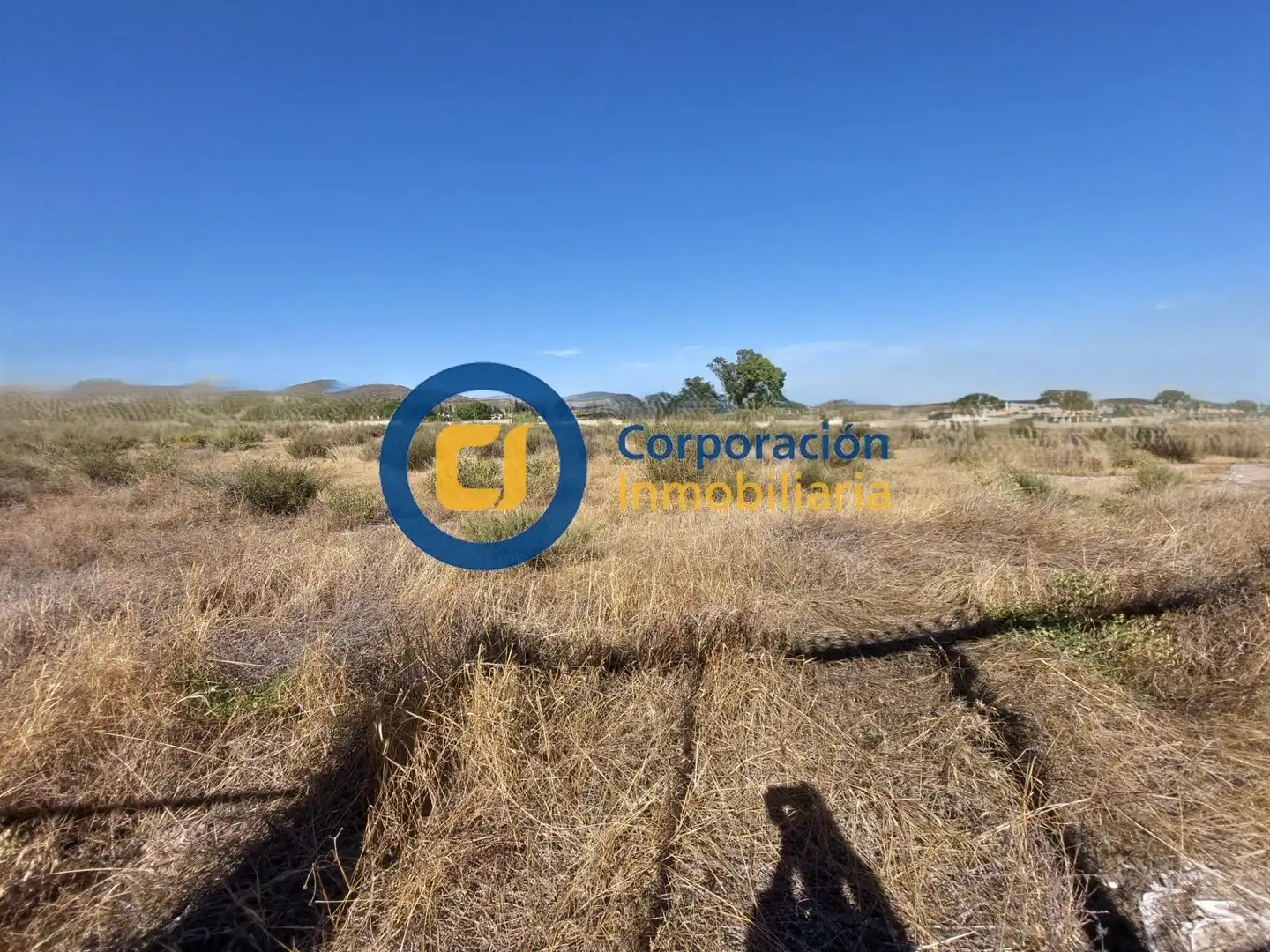 Lands and plots for sale in Pedanías Centro, imagen 20