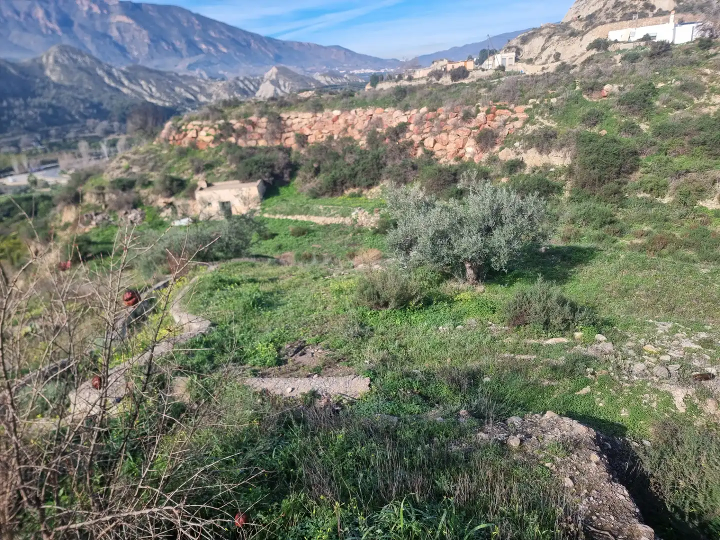 Rural land for sale in Terque, imagen 28