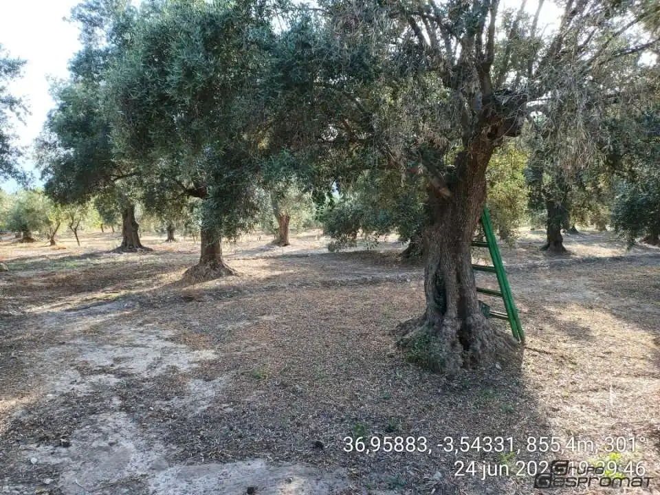 Terreno rustico in vendita a Calle poligono 2, parcela 207,208, Tomillar, Lecrín 0, imagen 16